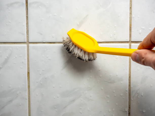 Best Black Mold Removal  in Greenup, IL