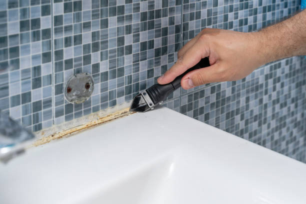Trusted Greenup, IL Mold Removal Experts