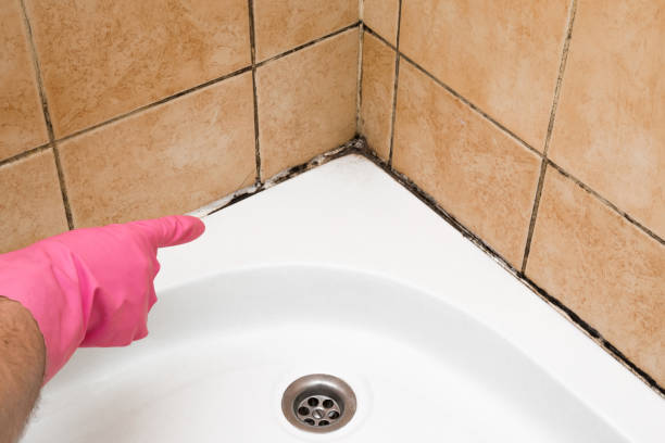 Best Mold Testing  in Greenup, IL